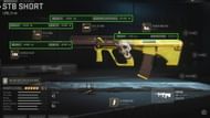 Best loadout for sniper support STB 556 in Season 3 (Image via Activision and YouTube/P4wnyhof)